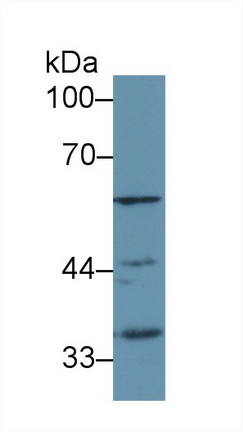 13458