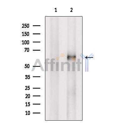 Валидация Affinity DF3353 - 14220