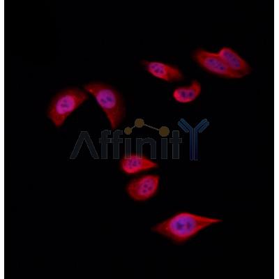 Валидация Affinity DF3686 - 14705
