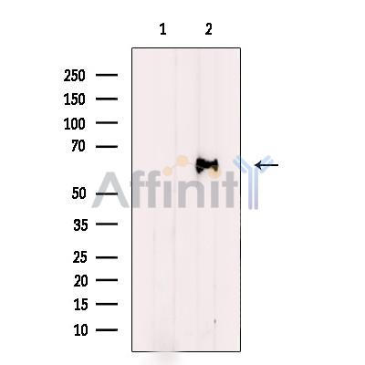 Валидация Affinity DF12411 - 6906
