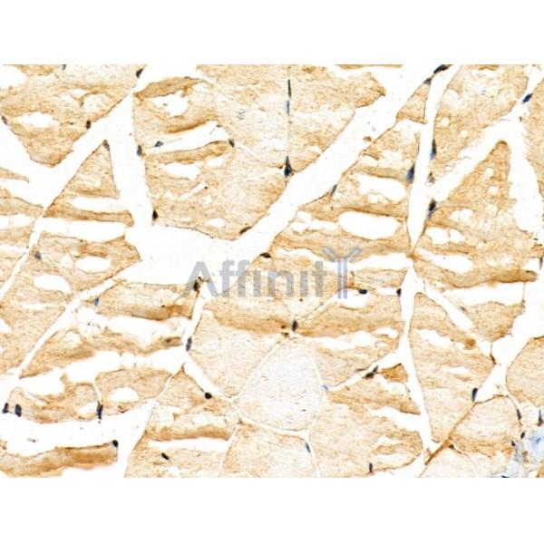Валидация Affinity DF13115 - 8021