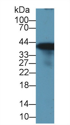 9673