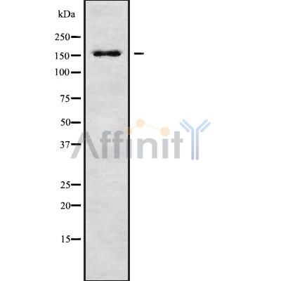 Валидация Affinity DF9874 - 22813
