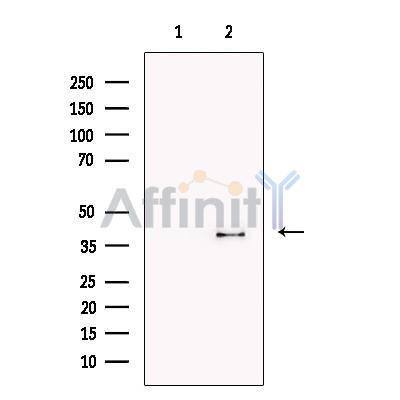 Валидация Affinity DF13405 - 8685