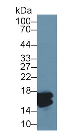 62653