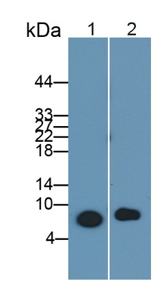 8410