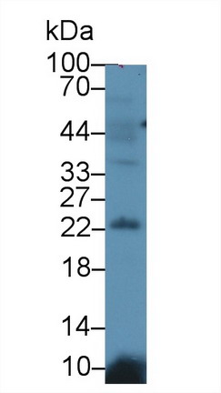 9503