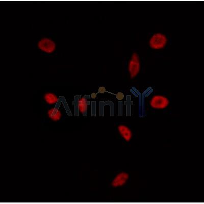 Валидация Affinity DF3858 - 14997