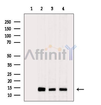 Валидация Affinity DF14761 - 10846
