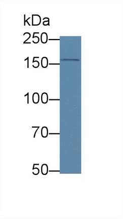 12570