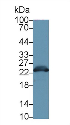 9439