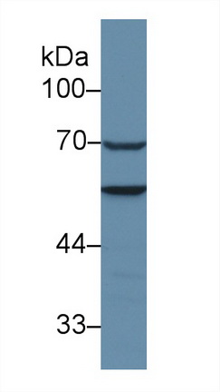 13320