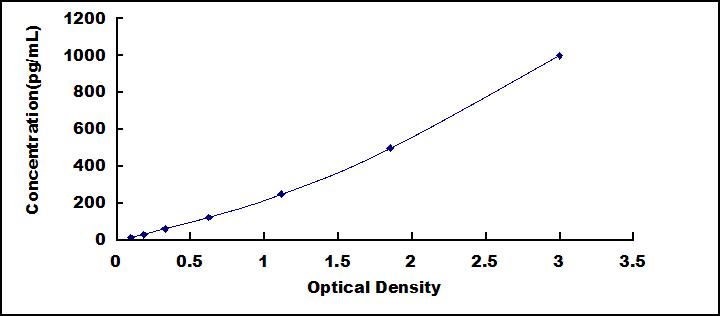 61021