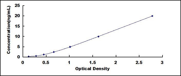 65070