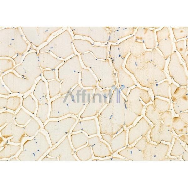 Валидация Affinity DF8232 - 20065