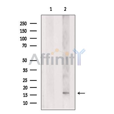 Валидация Affinity DF3284 - 14146