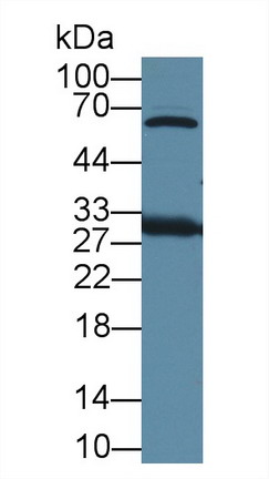 8412