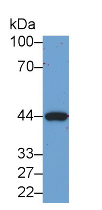64791