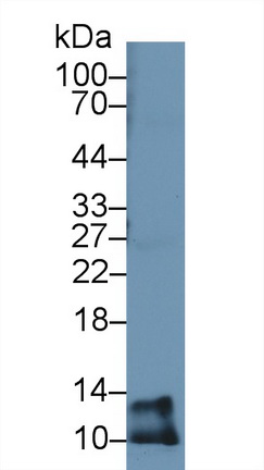 13668