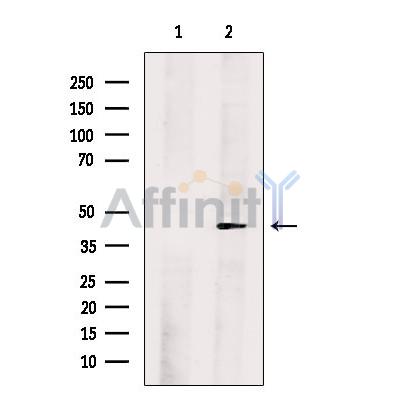 Валидация Affinity DF13639 - 9185