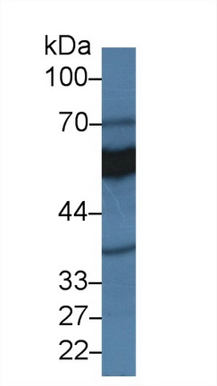 14350