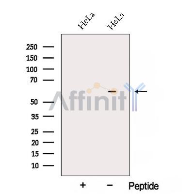 Валидация Affinity DF12832 - 7549