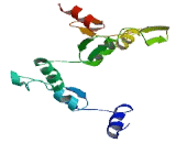 Zinc Finger Protein 708 (ZNF708)