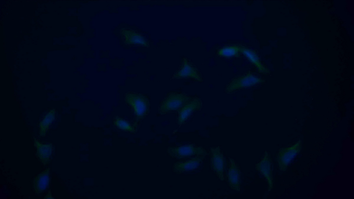 22612