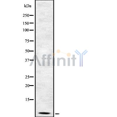 Валидация Affinity DF8531 - 20407