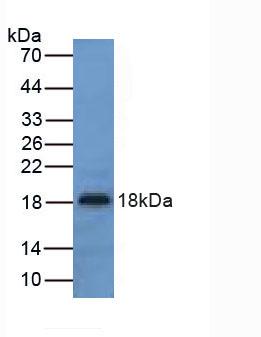 5931