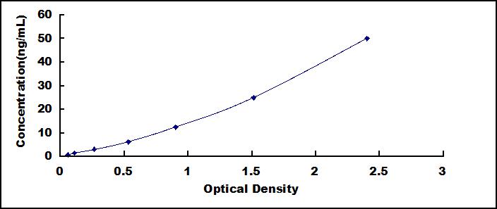 42053