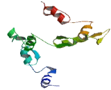 Zinc Finger Protein 324 (ZNF324)