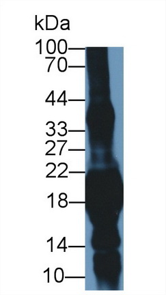 9279