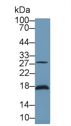 9649