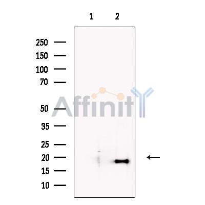 Валидация Affinity DF13559 - 9005