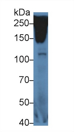 13879