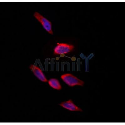 Валидация Affinity DF12402 - 6892