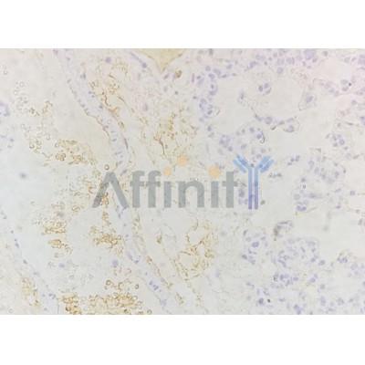 Валидация Affinity AF6088 - 3293