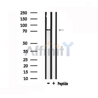 Валидация Affinity DF4885 - 16673