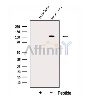 Валидация Affinity DF12944 - 7703