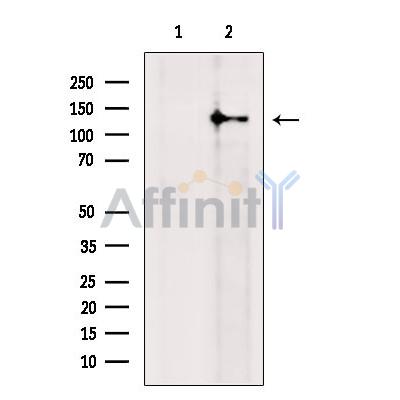 Валидация Affinity DF13513 - 8913