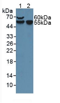 6803