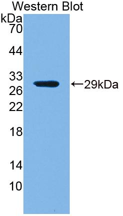 60140