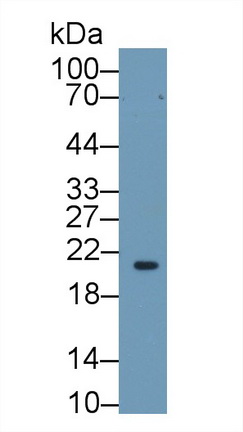 13378