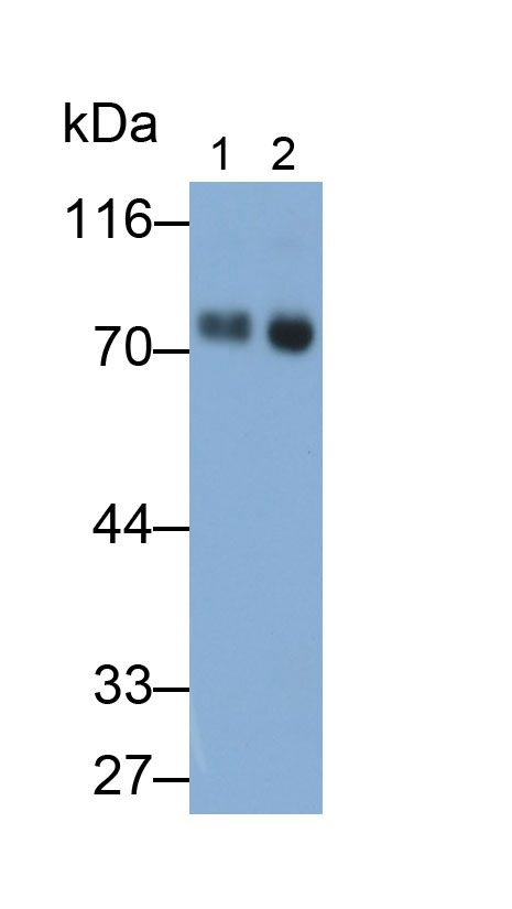 31820