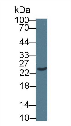 8893