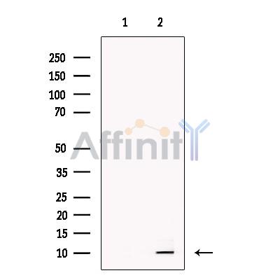 Валидация Affinity DF13696 - 9295