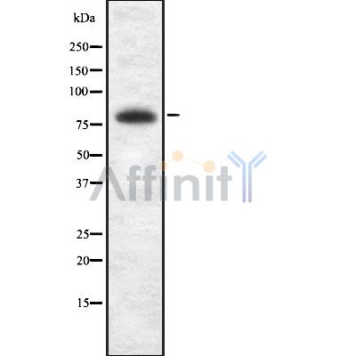 Валидация Affinity DF8848 - 20929