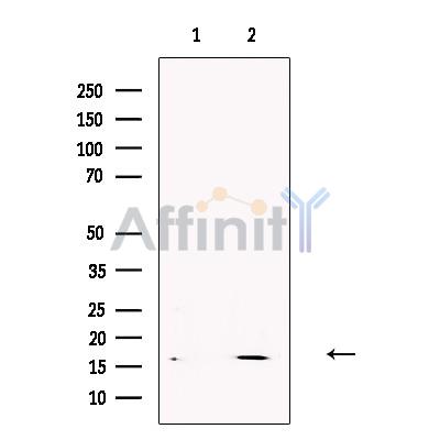 Валидация Affinity DF13618 - 9134