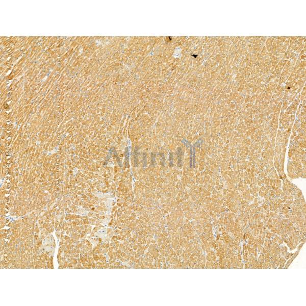 Валидация Affinity AF4005 - 2108